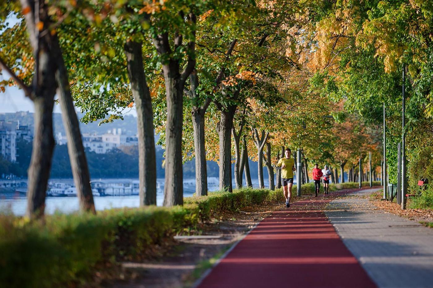 Mrsam * Budapest